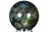 Flashy, Polished Labradorite Sphere - Great Color Play #232428-1